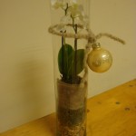 Kerststuk 8 :   10 Euro   Glazenvaas hoog model met orchidee in aardetinten